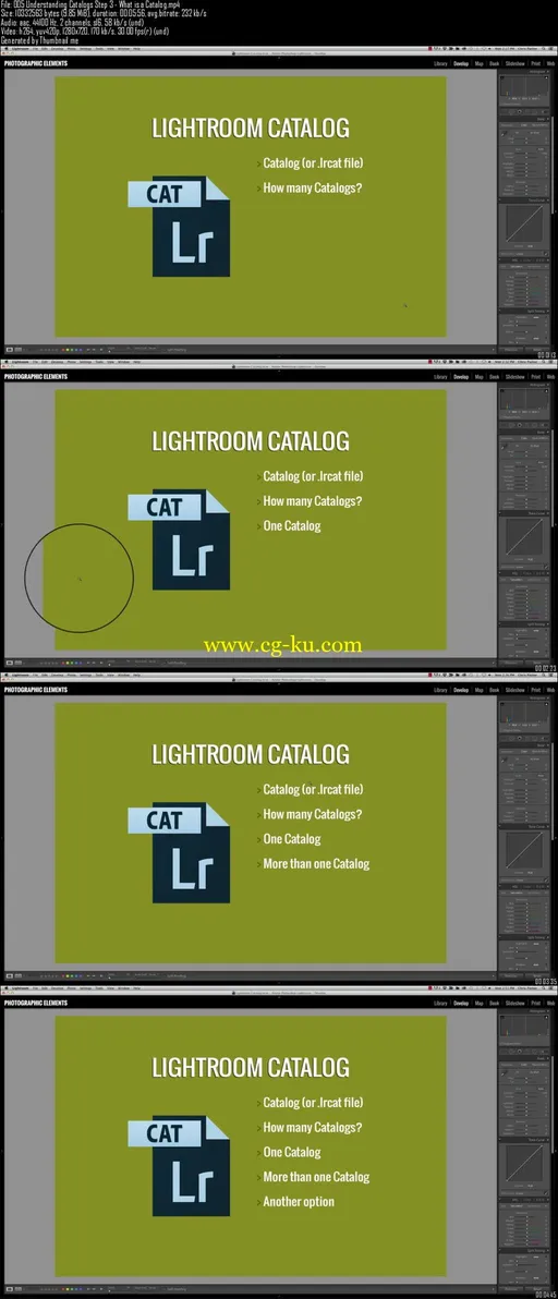 Master Adobe Lightroom 6 + CC & Be More Productive的图片2