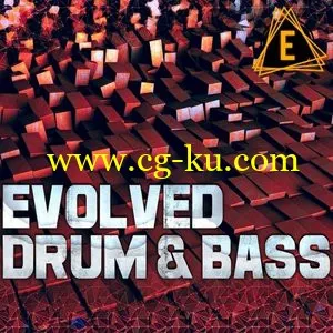 Electronisounds Evolved Drum And Bass WAV KONTAKT的图片1