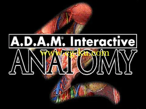 ADAM Interactive Anatomy 3.0的图片1