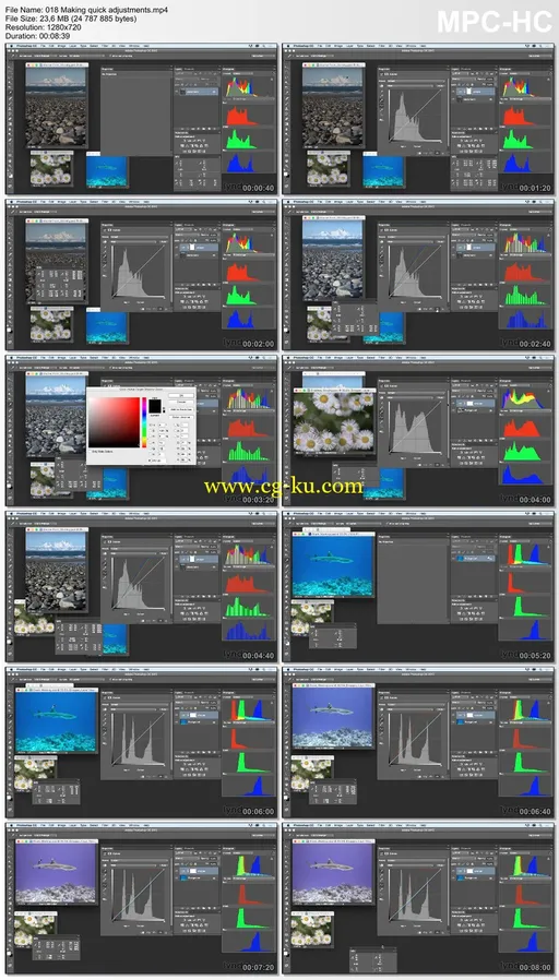 Lynda – Exploring Photoshop: Mastering Curves的图片2