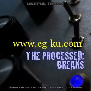 Useful Noise The Processed Breaks AiFF的图片1