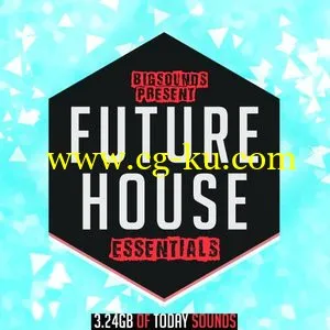 Big Sounds Future House Essentials WAV MiDi的图片1