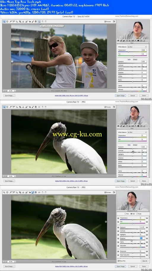 Photoshop Perfection Basic 1: Raw Processing的图片2