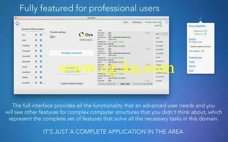 RealDNS 7.3.2 MacOSX的图片1