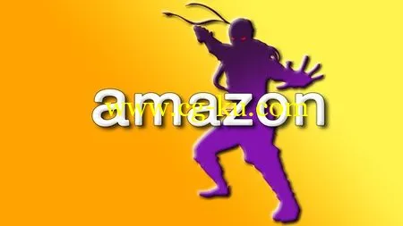 Amazon Start-Up Success : Amazon Sales Ninja的图片2