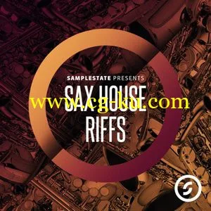 Samplestate Sax House Riffs MULTiFORMAT的图片1