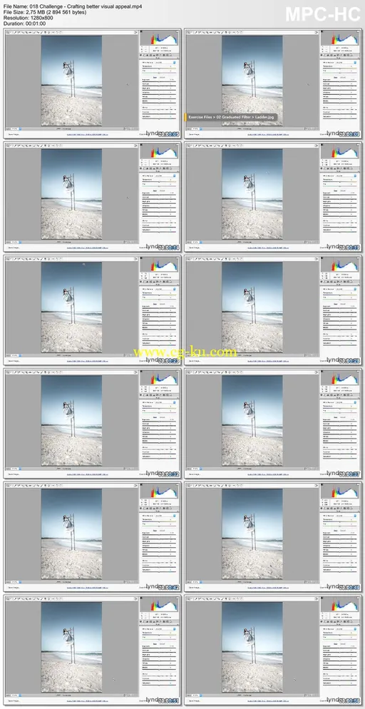 Lynda – Exploring Adobe Camera Raw: Making Selective Adjustments的图片2