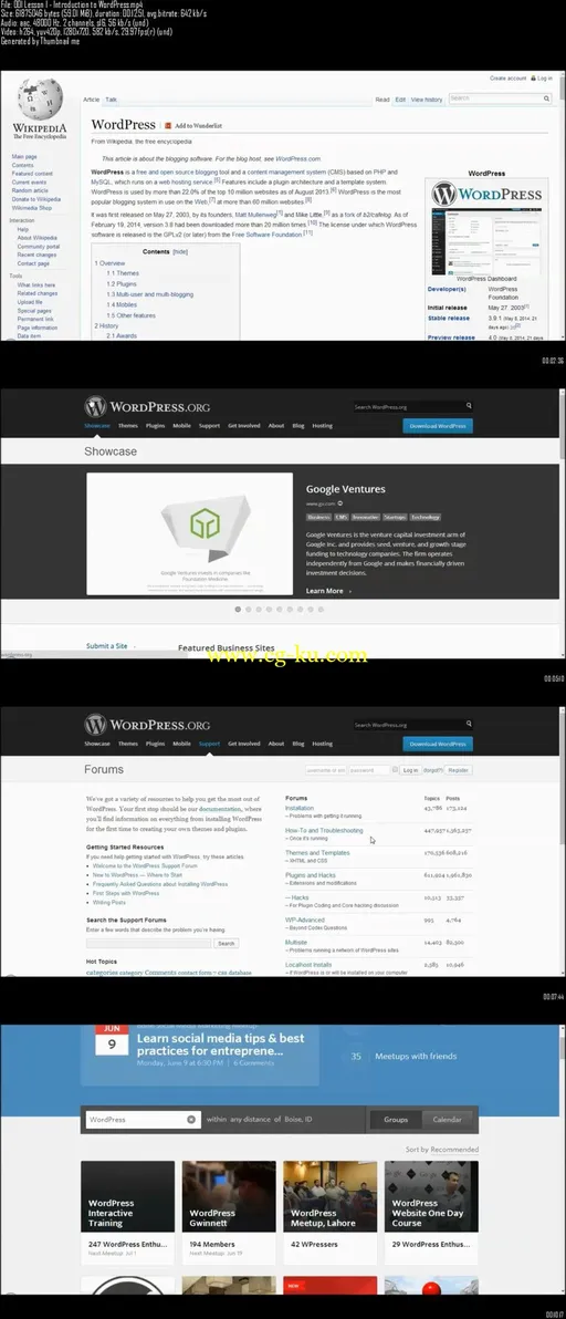 WordPress Profits: WordPress Marketing Plugins and Tools的图片2