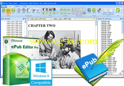 iStonsoft ePub Editor Pro 2.1.124的图片1