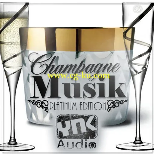 YNK Audio Champagne Musik Platinum Edition MULTiFORMAT的图片1