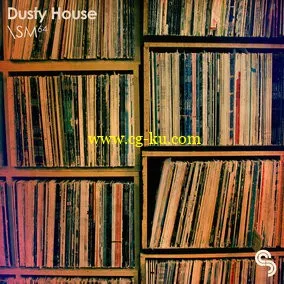 Sample Magic Dusty House MULTiFORMAT的图片1