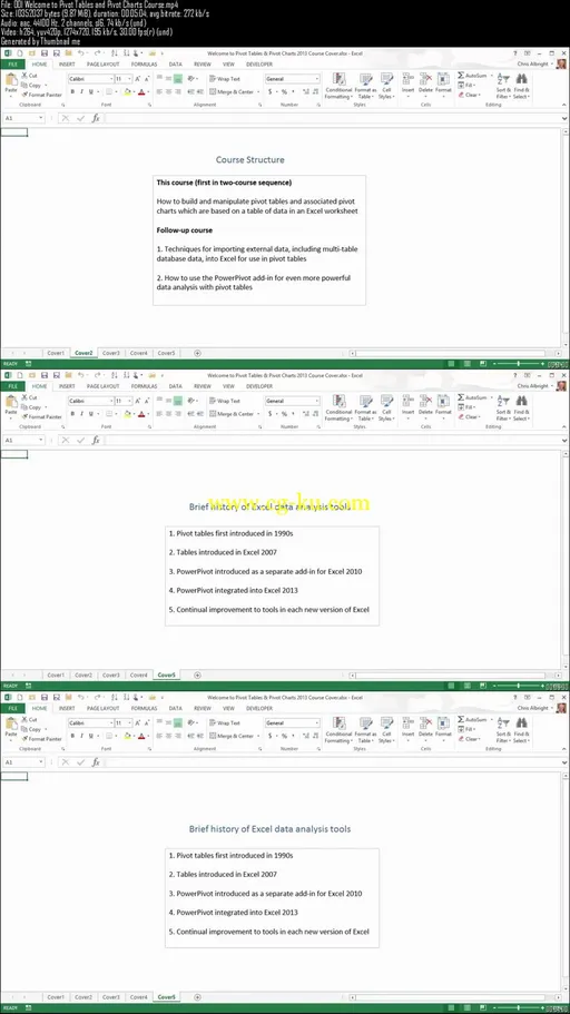 Practical Excel 2013 Pivot Tables and Pivot Charts的图片2