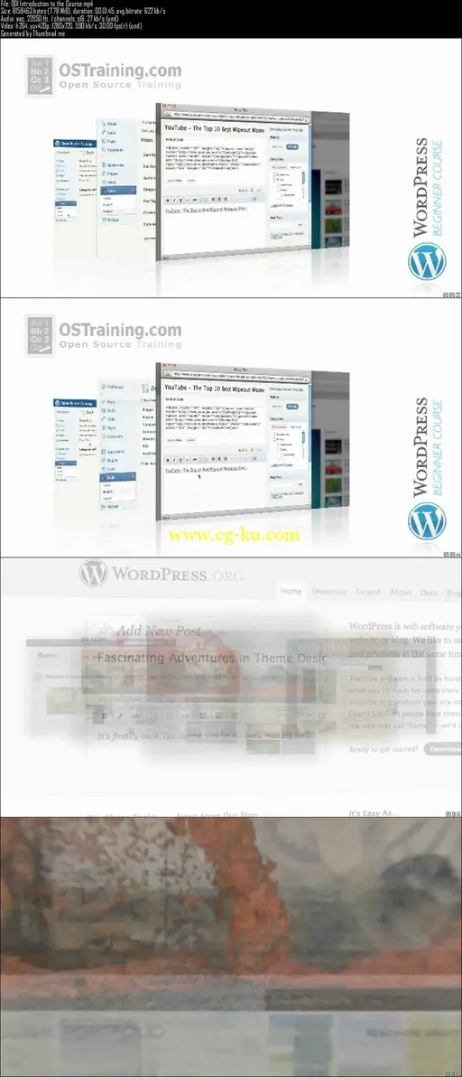 WordPress for Beginners的图片2