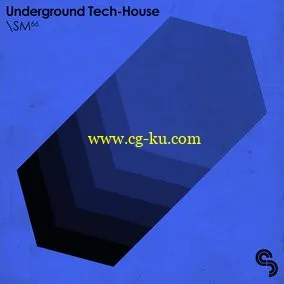 Sample Magic Underground Tech-House MULTiFORMAT的图片1