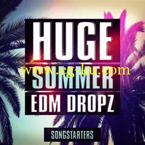 Mainroom Warehouse Huge Summer EDM Dropz Songstarters WAV MiDi的图片1