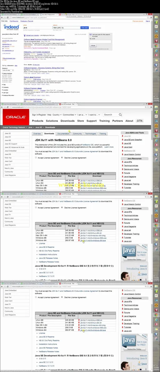 Learn Java with NetBeans!的图片2