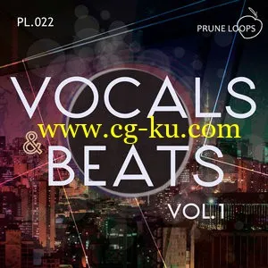 Prune Loops Vocals and Beats Vol 1 WAV MiDi AiFF的图片1