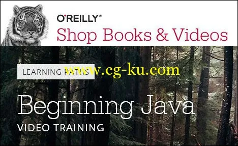 O’Reilly Learning Paths – Beginning Java Video Training的图片1