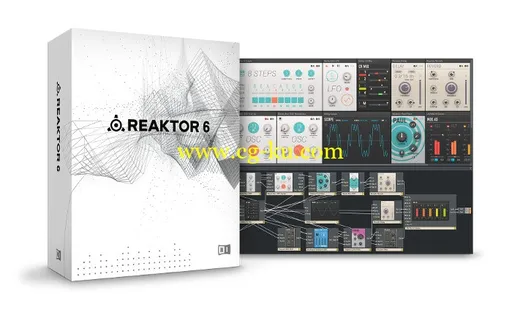 Native Instruments Reaktor 6 WiN的图片1