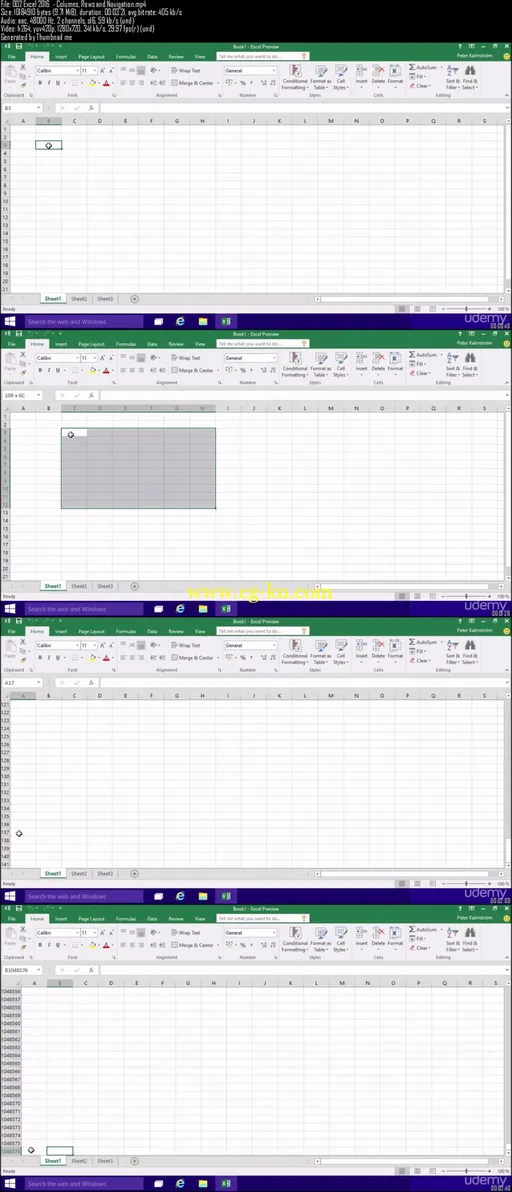 Microsoft Excel 2016 : the fundamentals的图片2