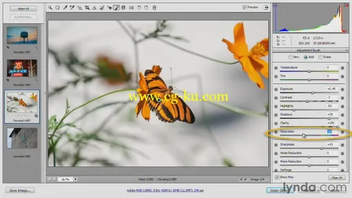 Photoshop for Video Editors: Core Skills的图片3