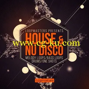 Loopmasters House and Nu Disco MULTiFORMAT的图片1