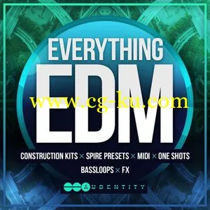 Audentity Everything EDM WAV MiDi SPiRE的图片1