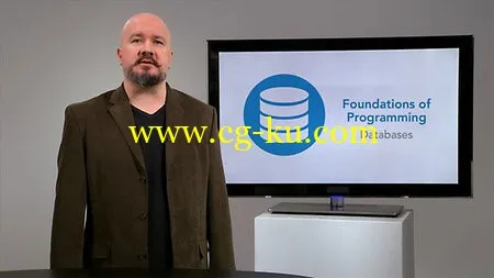 Lynda – Foundations of Programming: Databases的图片1