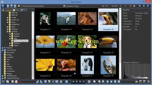 Color Storm 15.5.0.0 Full Edition的图片1