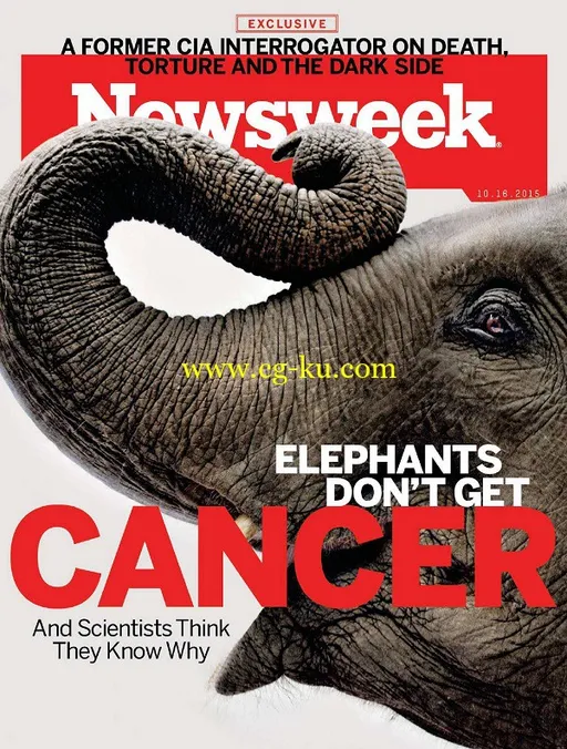 Newsweek – 16 October 2015-P2P的图片1