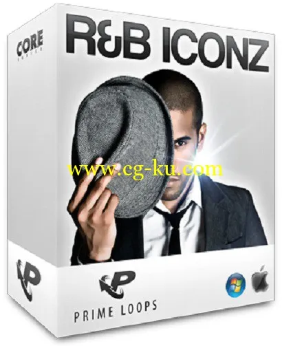 Prime Loops R&B Iconz MULTiFORMAT DVDR的图片1