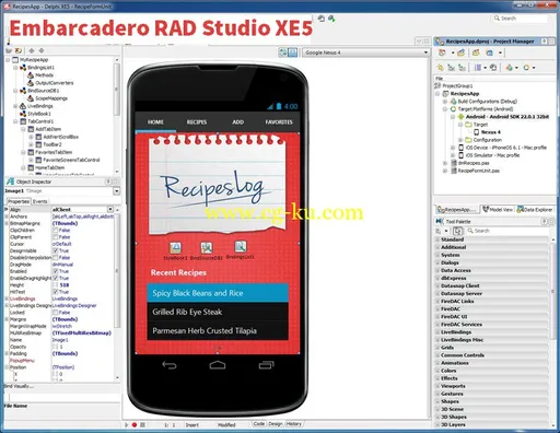 Embarcadero RAD Studio XE5的图片2