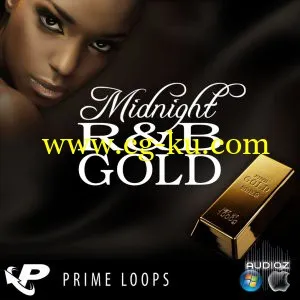 Prime Loops Midnight RnB Gold WAV的图片1