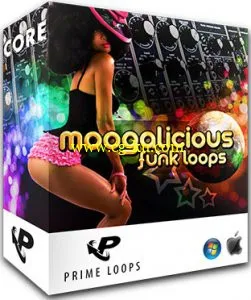 Prime Loops Moogalicious Funk Loops MULTiFORMAT-SYNTHiC4TE的图片1