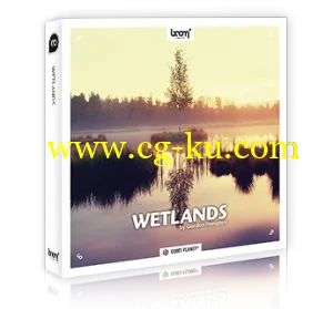 Boom Library Wetlands Stereo and Surround WAV-AUDIOSTRiKE的图片1