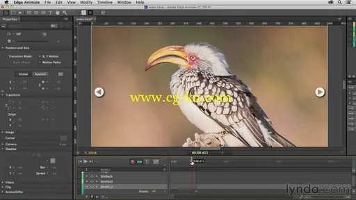 Lynda – Creating a Slideshow with Edge Animate的图片2