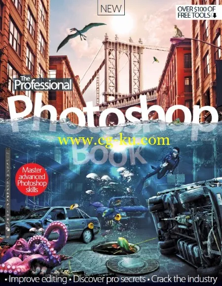 The Professional Photoshop Book – Volume 07 2015-P2P的图片1