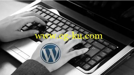 Enhanced WordPress Strategies For Business的图片1