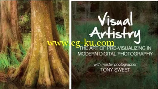 Visual Artistry – The Art of Pre-Visualization in Modern Digital Photography的图片1