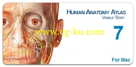 Human Anatomy Atlas v7.4.01 MacOSX的图片1