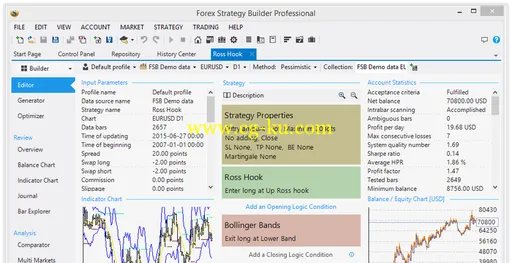 Forex Strategy Builder Professional 3.2.4的图片1