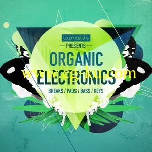 Loopmasters Organic Electronics MULTiFORMAT的图片1