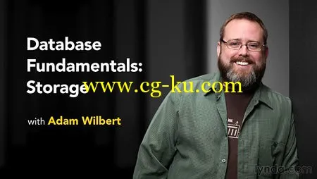 Lynda – Database Fundamentals: Storage的图片1