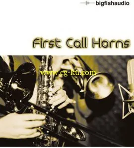 Big Fish Audio First Call Horns GiGA DVDR-DYNAMiCS的图片1