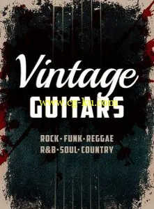 Xtended Series Vintage Guitars KONTAKT-MAGNETRiXX的图片1