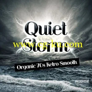 Track Star Quiet Storm KONTAKT MULTiFORMAT-MAGNETRiXX的图片1