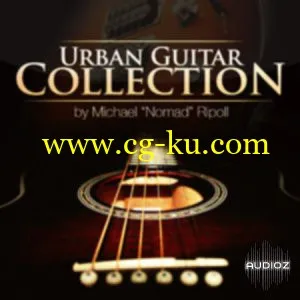 Big Fish Audio Urban Guitar Collection MULTiFORMAT-MAGNETRiXX的图片1