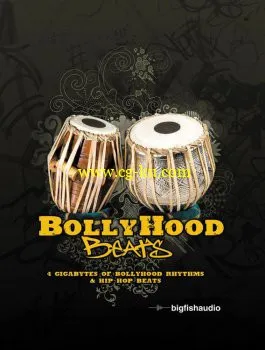 Big Fish Audio BollyHood Beats MULTiFORMAT DVDR D1-2-DYNAMiCS的图片1