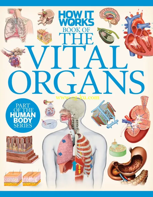 How It Works – The Vital Organs, 1st Edition-P2P的图片1