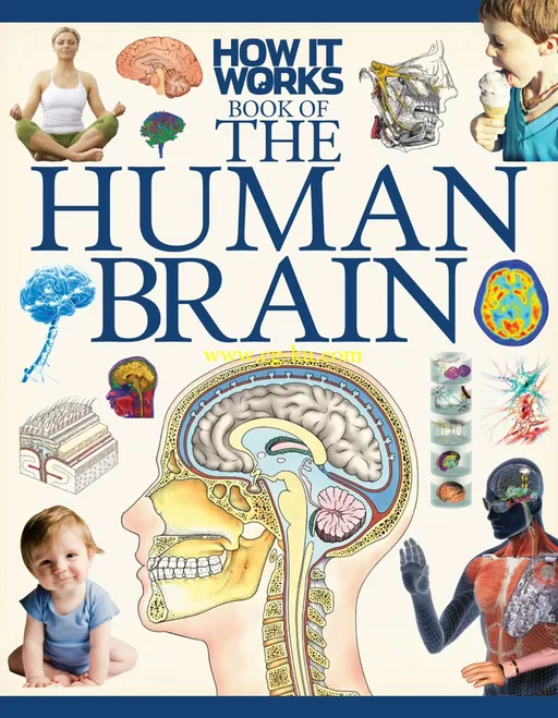 How It Works – The Human Brain, 1st Edition-P2P的图片1